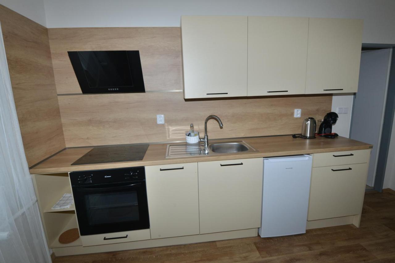 Apartmany U Peslu Železná Ruda Kültér fotó