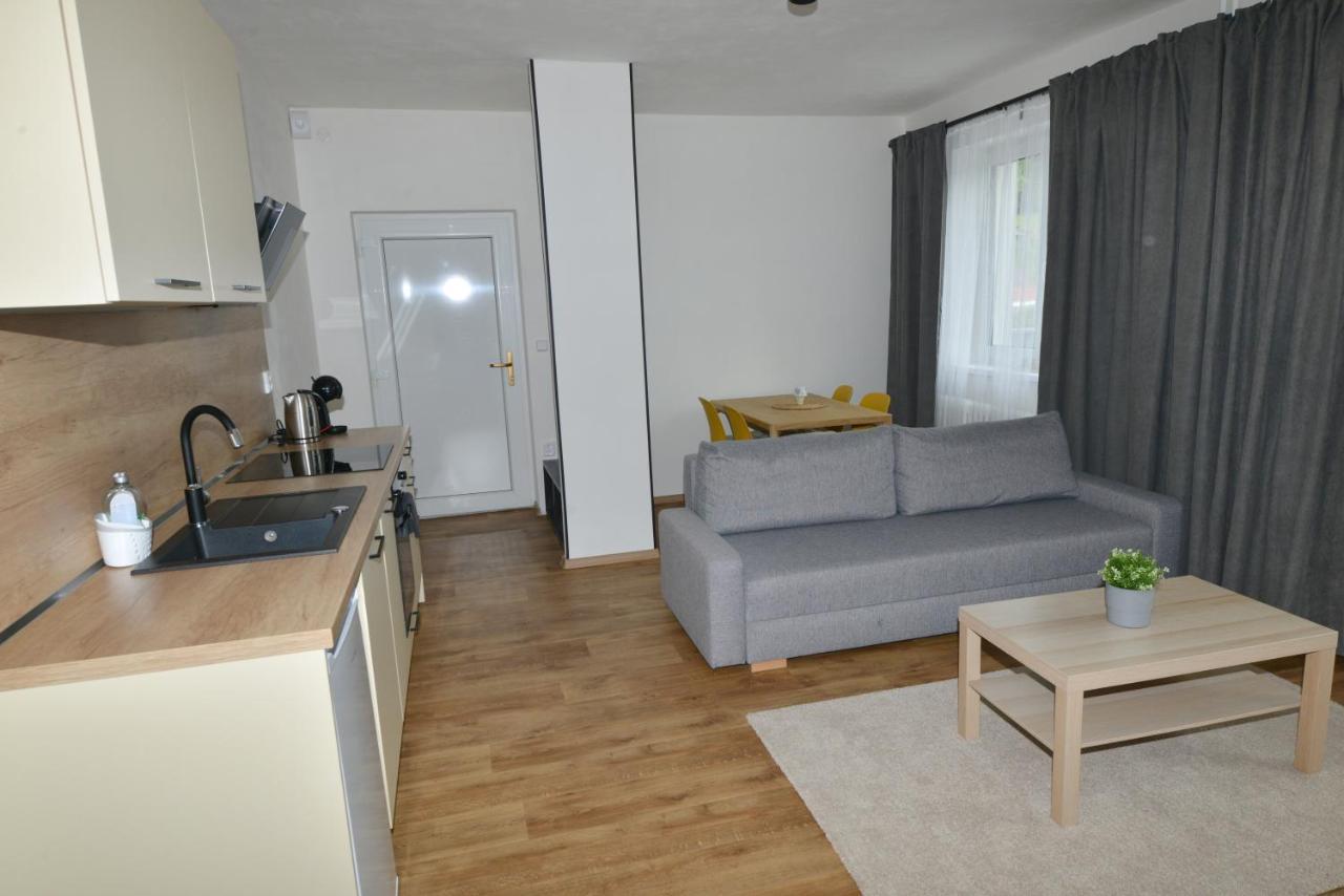 Apartmany U Peslu Železná Ruda Kültér fotó